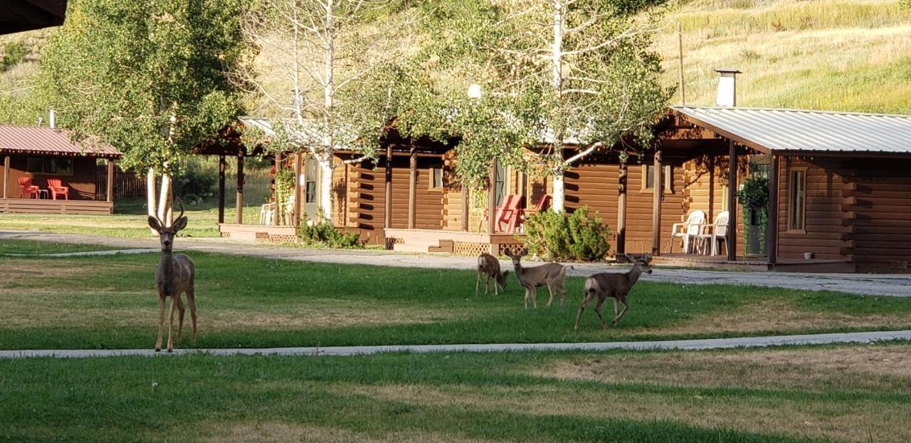 High Country Lodge And Cabins Pagosa Springs Exterior foto